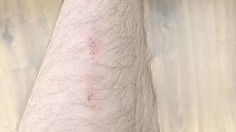 Ултраси на ЦСКА ритаха репортер на bTV