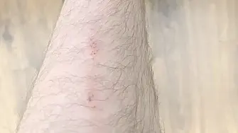 Ултраси на ЦСКА ритаха репортер на bTV