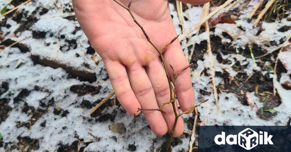 Северноцентралното държавно предприятие СЦДП активно реализира дейности за подобряване на