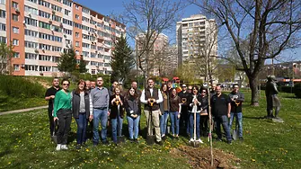 Осемнадесет нови дървета обогатиха зелените площи срещу блок „Катюша“ в Габрово