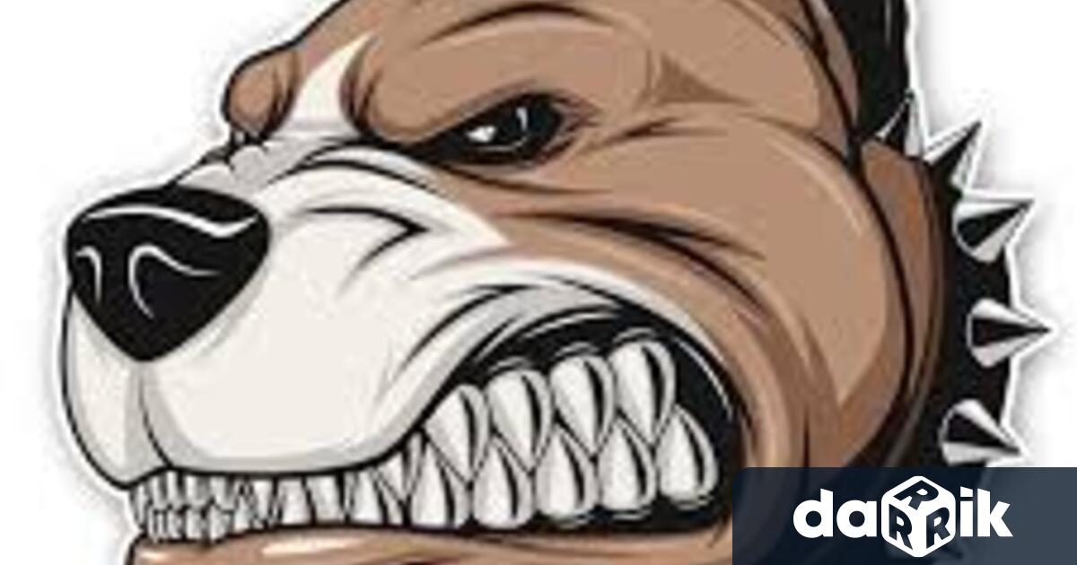 Куче нахапа 7 годишно дете във врачанския кв Младост Инцидентът е станал