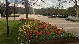 Днес преди обяд над страната ще има висока и средна облачност