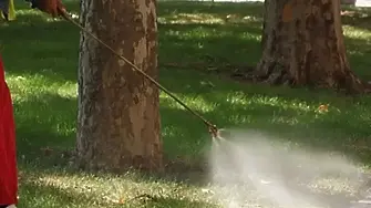 Започва поредна дезакаризация на тревни площи на територията на Сливенска община