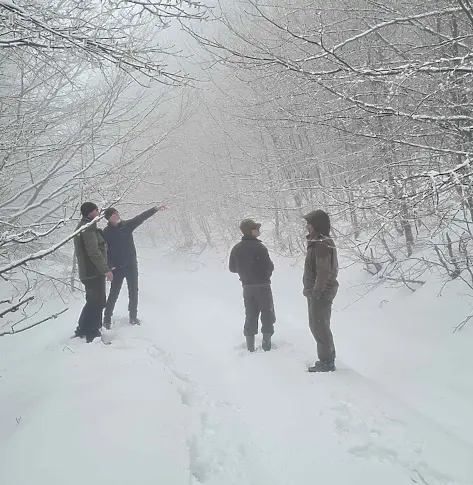 СЦДП напредва с изпълнението на дейностите по проекта за подобряване състоянието на 81 000 дка гори в НАТУРА 2000