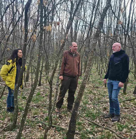 СЦДП напредва с изпълнението на дейностите по проекта за подобряване състоянието на 81 000 дка гори в НАТУРА 2000