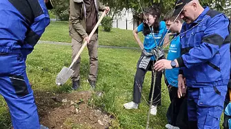 Лесовъди от Плачковци и деца от SOS Детско селище Трявна засадиха дръвчета за Деня на Земята