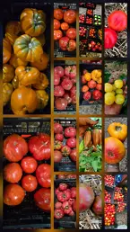 Земеделие без оран и съдове без токсини