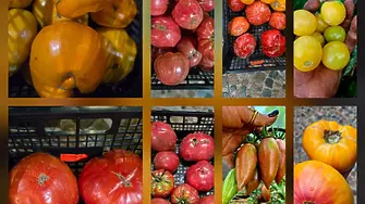 Земеделие без оран и съдове без токсини