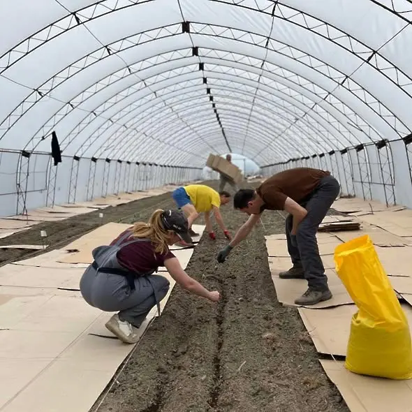 Да спасим старите сортове! Да върнем местните сортове в българските градини!