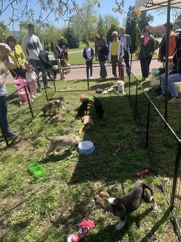 "Семе българско" покълна в Севлиево за 12-ти път