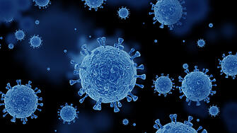 След разкритията за месо с антракс: Какви са симптомите на заразата при човек?