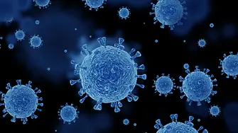 След разкритията за месо с антракс: Какви са симптомите на заразата при човек?