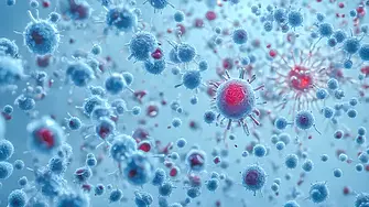 Първи случай на ку-треска в Пловдив