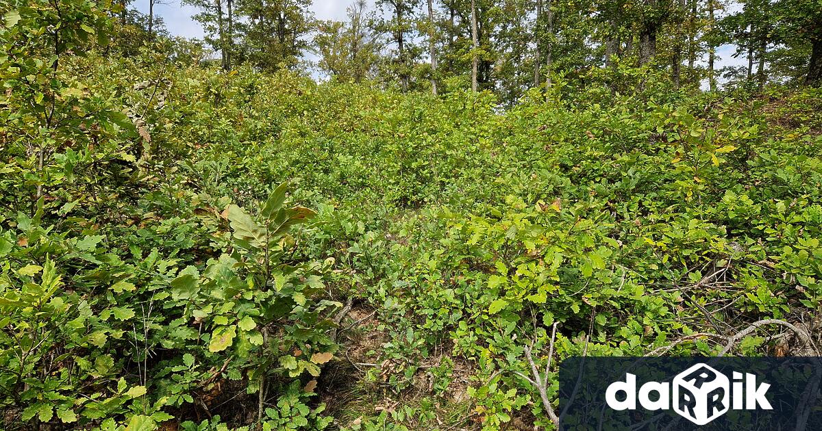 Югоизточно държавно предприятие е партньор в изпълнение на проект От