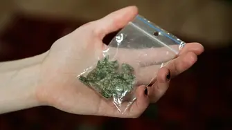 Претърсиха дома на млад мъж от с. Арчар - задържан е за притежание на канабис