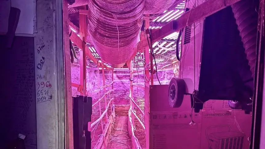 Разкриха мина с над 20 галерии, превърната в наркооранжерия (ВИДЕО+СНИМКИ)