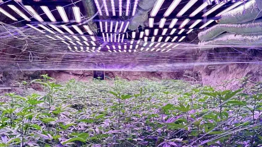 Разкриха мина с над 20 галерии, превърната в наркооранжерия (ВИДЕО+СНИМКИ)