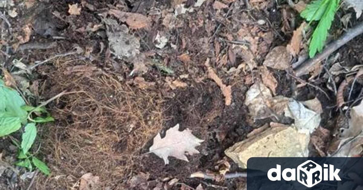 Министърът на околната среда Юлиян Попов спря дейности край Горнослав