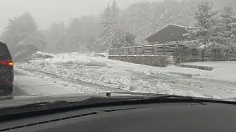 Отвориха пътя към хижата на Петрохан