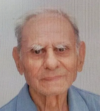 Издирват 94-годишен мъж с деменция, изчезнал във Варненско 