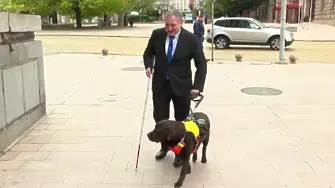 Кучето Роувър придружи незрящия депутат Иван Янев в парламента