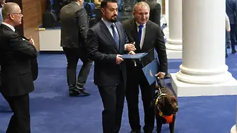 За първи път: Ще има куче в парламента, ще е водач на незрящ депутат