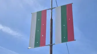 Официална позиция на Община Плевен по повод публикация на ОФК „Спартак“ - Плевен