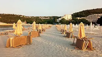 Тела на делфини изплуваха край Варна