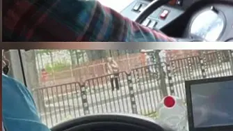 ПП-ДБ към кмета на Пловдив: Кой допуска шофьори да пушат в автобусите?