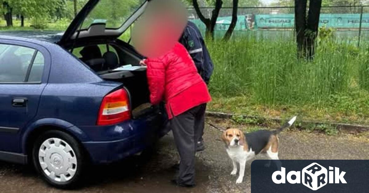 През изминалата седмица екипът на звено Инспекторат състави общо 19