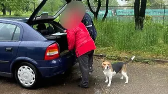 Вижте резултатите от проверките на звено „Инспекторат“ за седмица във Враца