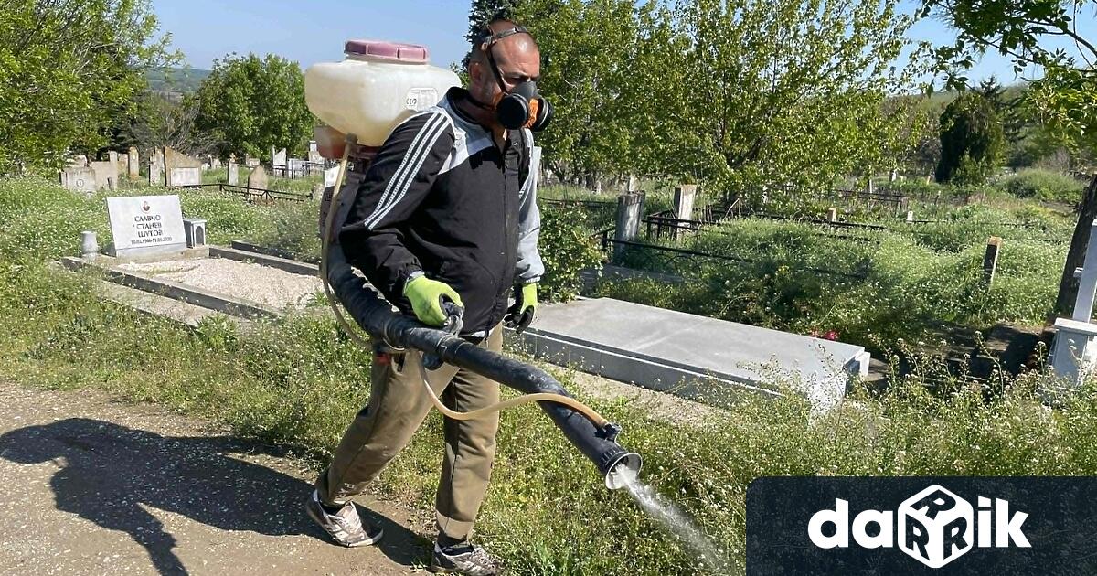 Община Гулянци извършва поетапна хербицидна обработка срещу заплевяване на гробищните