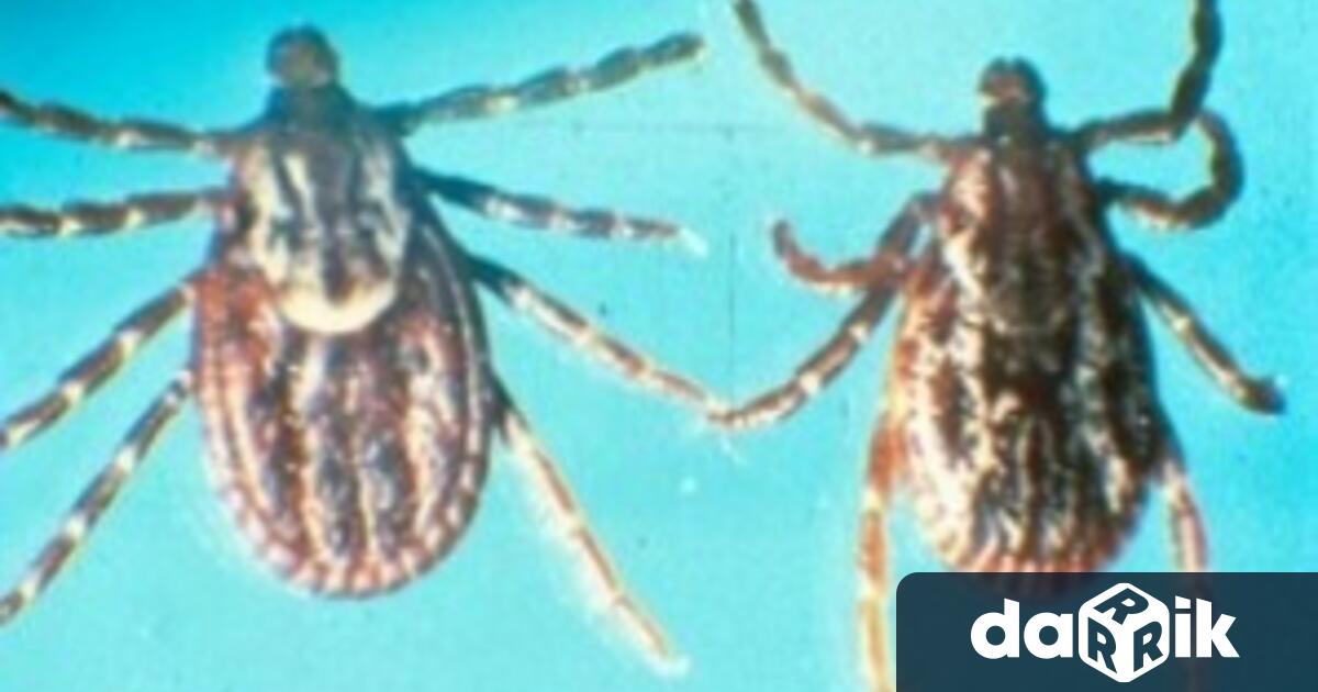 Областна администрация – Плевен информира че на 7 ми май