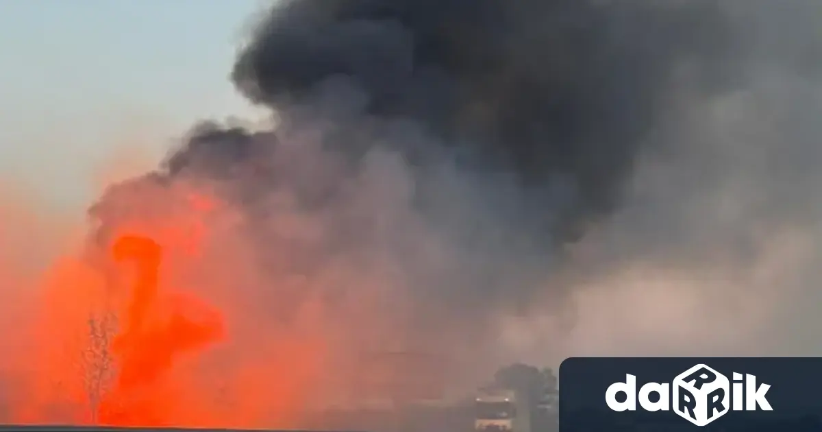 Огромен пожар се възпламени в опасна близост до автомагистрала Тракия На