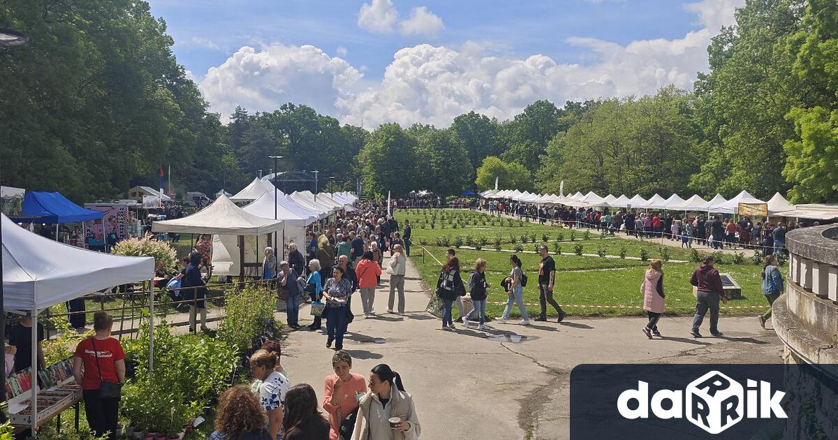 Във втория ден на Фермерския пазар койтосе провежда за втори