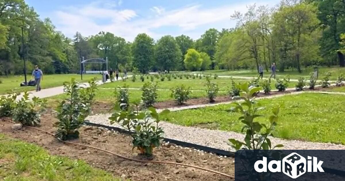 Всички тревни площи в парк Кайлъка от обръщалото на
