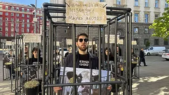 Демонстранти влязоха в клетки в близост до парламента и призоваха за хуманно отношение към телетата