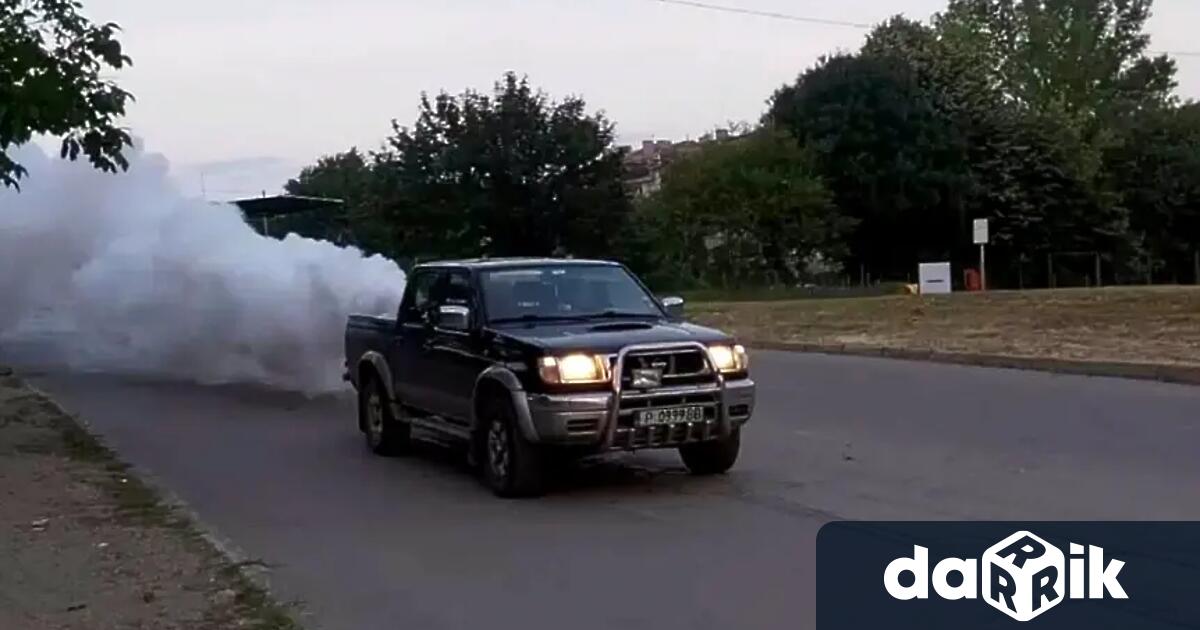 Първата дезинсекция срещу зелена листна въшка на липовите и други