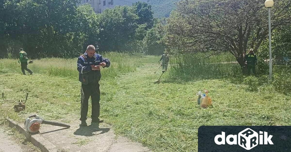Продължават дейностите по косене на тревните площи на територията на