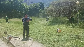 Продължават да косят тревните площи във Враца