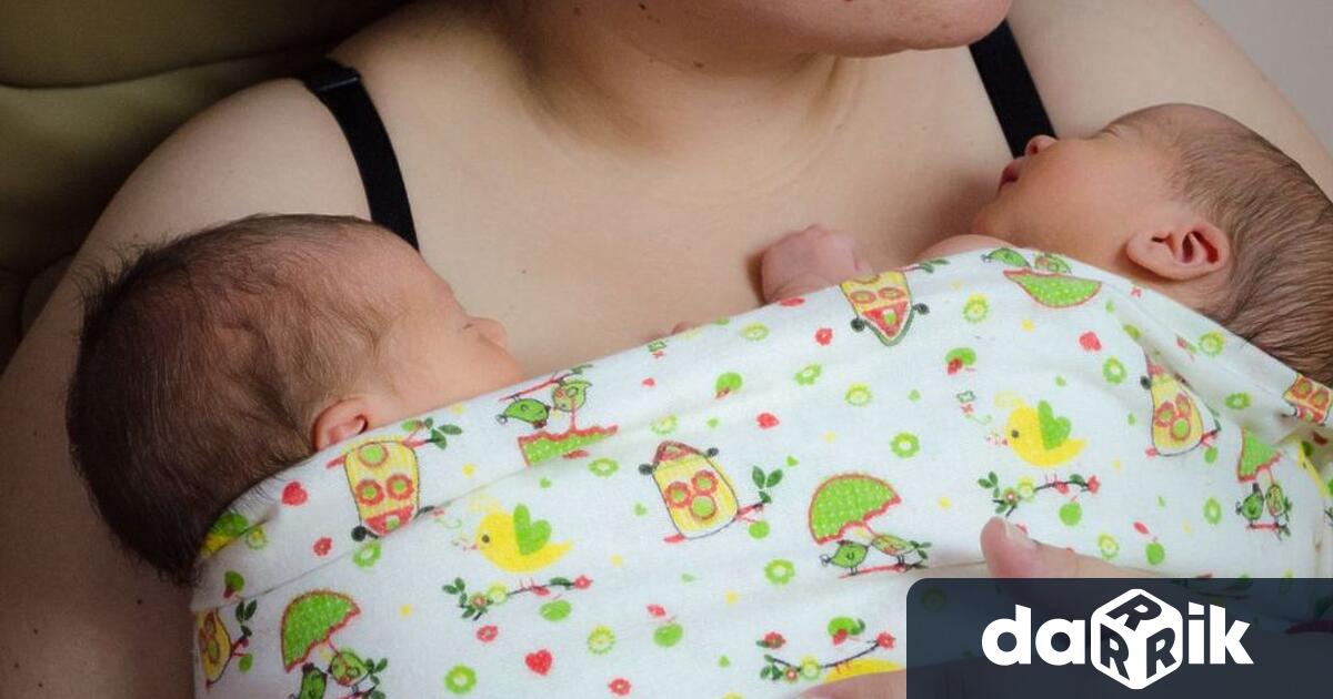 На 15 май се отбелязва Световният ден на кенгуру грижата