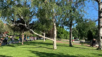 В петък ще преобладава слънчево време с мощна купеста облачност в следобедните часове