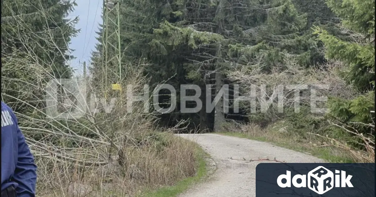Мъжът намерен мъртъв на Витоша е нападнат и убит от
