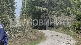 Две мечки са нападнали мъжа, намерен мъртъв на Витоша