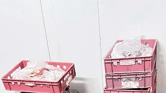 Иззеха над 38 тона негодни храни и суровини от животински произход в Свиленград
