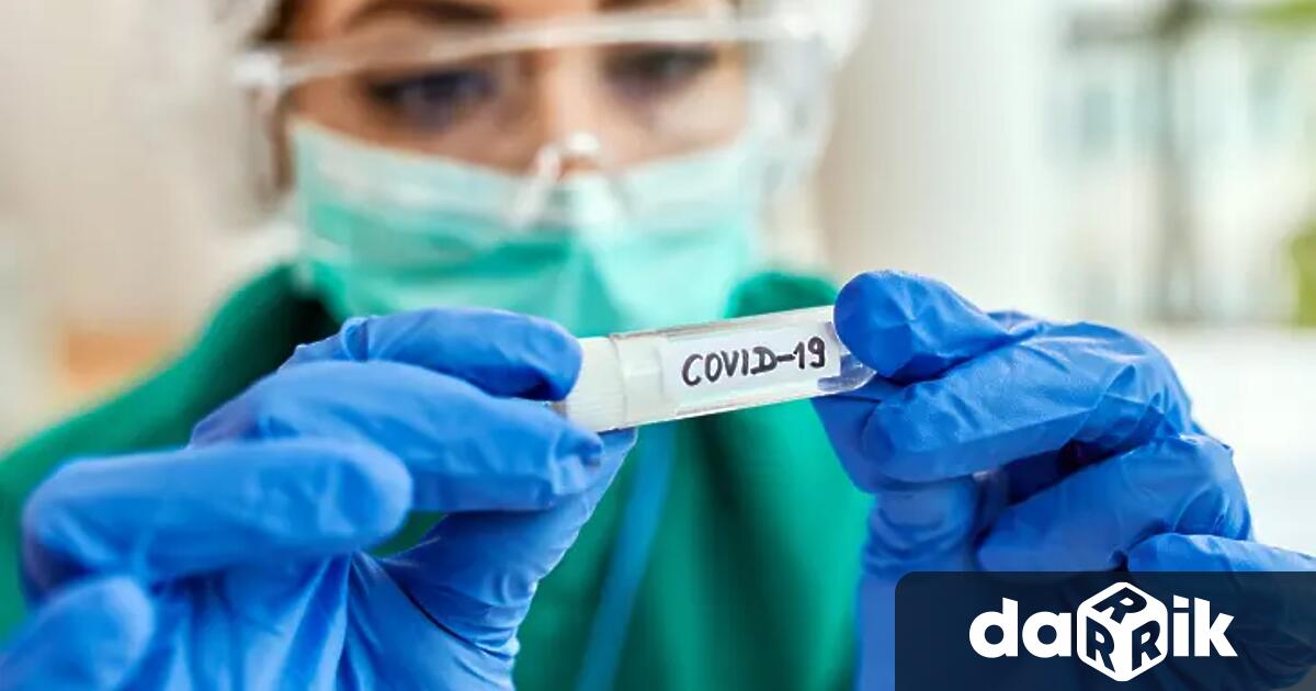 Чатове с недвусмислено съдържание и много снимки на лични карти