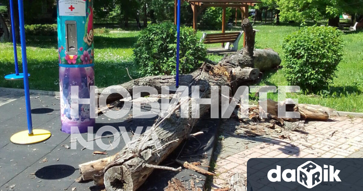 Дете на година и четири месеца оцеля след като сухо