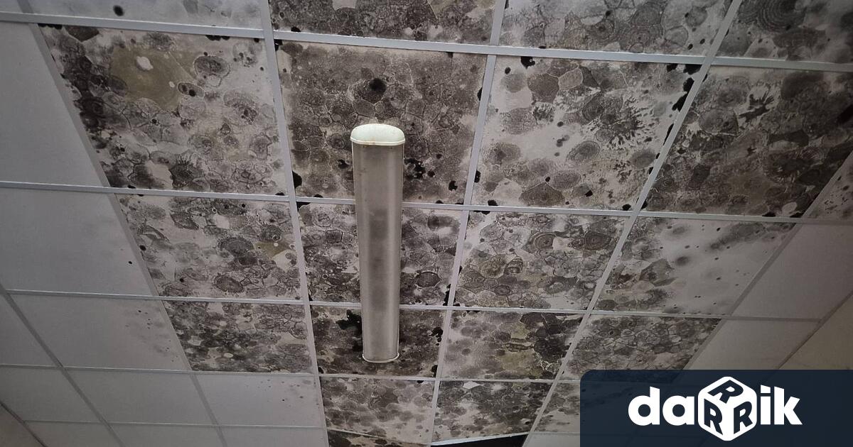 Мухъл по стените падаща мазилка влага в помещенията и опасни