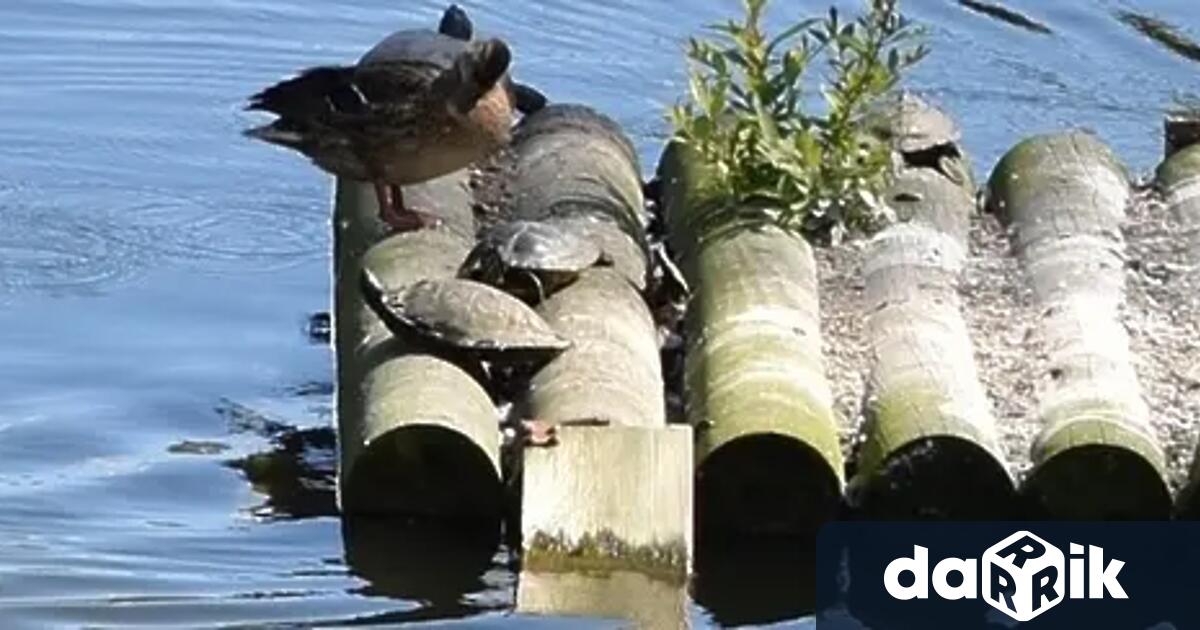 На 23 ти май се отбелязва Световнияден за защита на морските