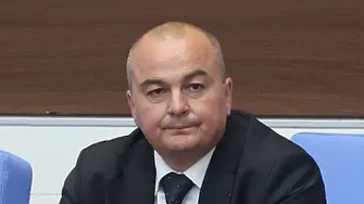 Абровски: Община Варна е била с широко затворени очи за незаконната сеч